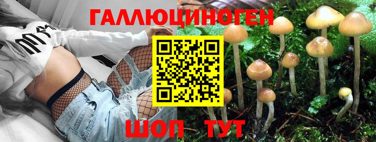 Псилоцибиновые грибы ЛСД Котовск