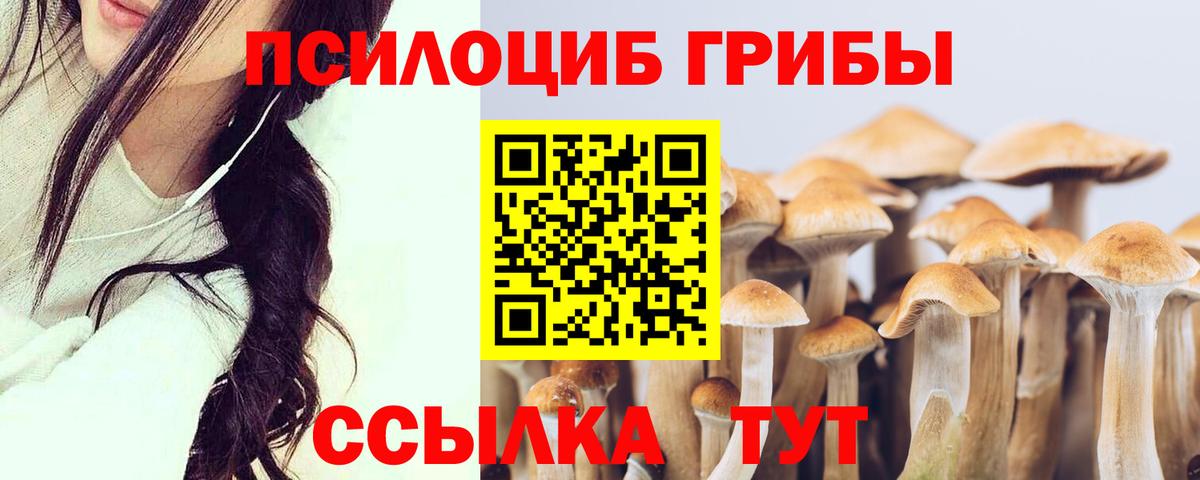 купить наркоту  Галлюциногенные грибы Psilocybe  Вход с VPN  Котовск 